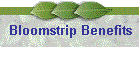 Bloomstrip Benefits