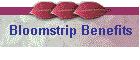 Bloomstrip Benefits