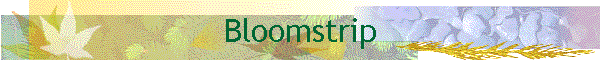 Bloomstrip