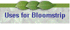 Uses for Bloomstrip