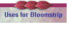 Uses for Bloomstrip